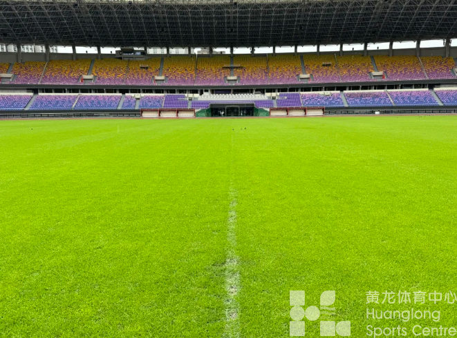 黄龙“锚固草坪”VS“暴力梅”，结果是……(图2)