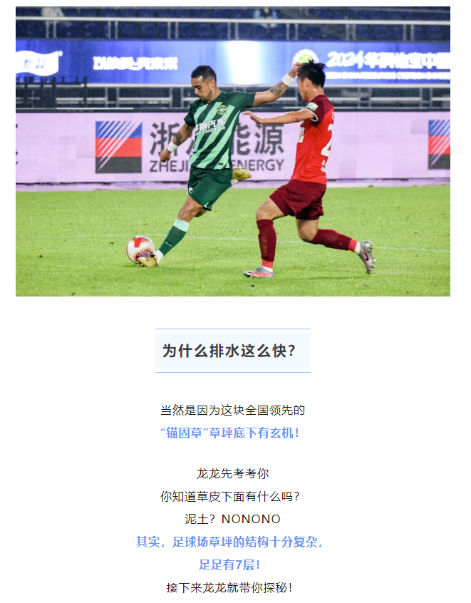 黄龙“锚固草坪”VS“暴力梅”，结果是……(图4)