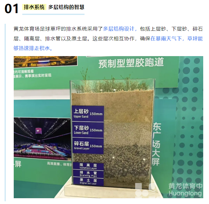 黄龙“锚固草坪”VS“暴力梅”，结果是……(图5)