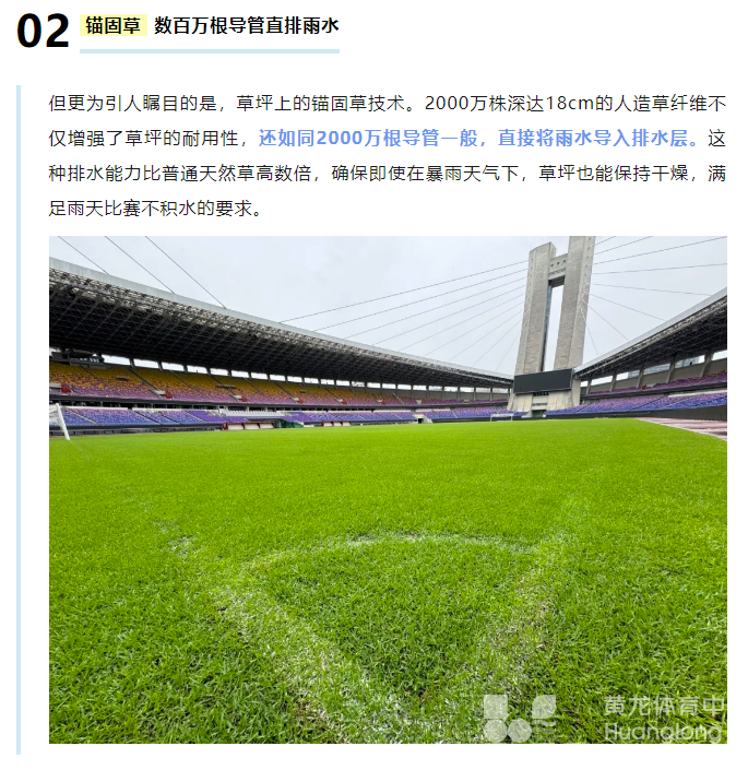 黄龙“锚固草坪”VS“暴力梅”，结果是……(图6)