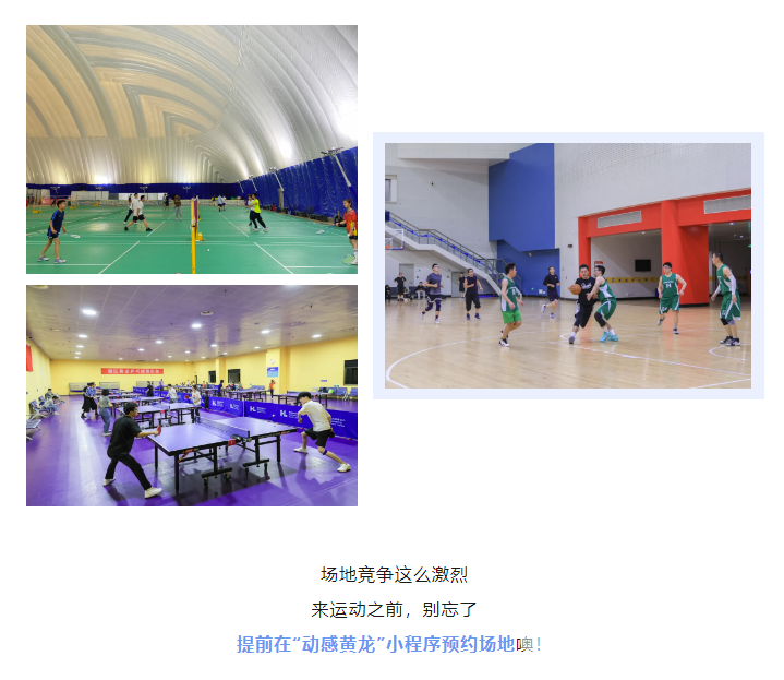 黄龙“锚固草坪”VS“暴力梅”，结果是……(图9)