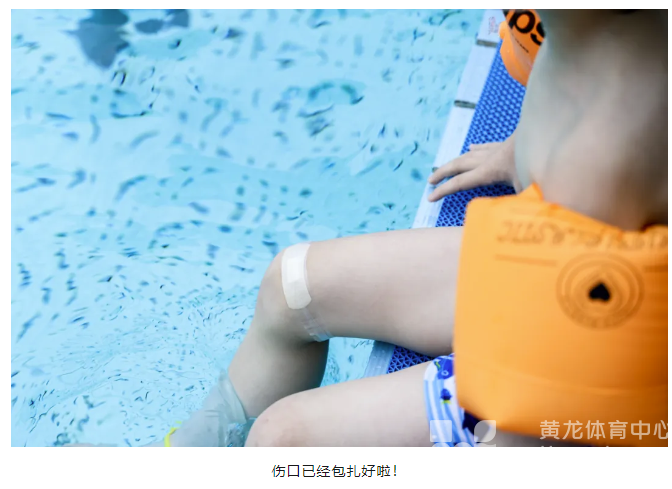 10天完成泳池孵化！祝“小候鸟们”展翅腾飞！(图6)