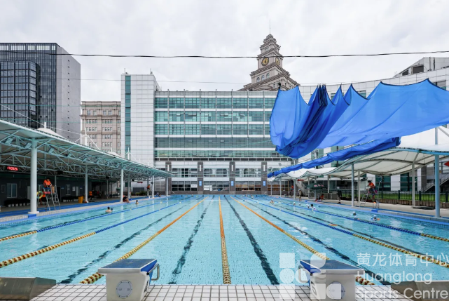 10天完成泳池孵化！祝“小候鸟们”展翅腾飞！(图9)