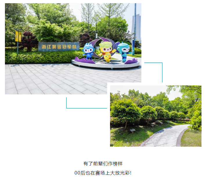 6金4银4铜！浙江体育健儿好样的！黄龙等你们来打卡~(图8)