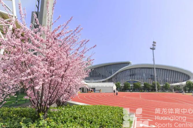 西湖区曙光路：从竞技到经济，赛事“流量”变发展“增量”(图6)