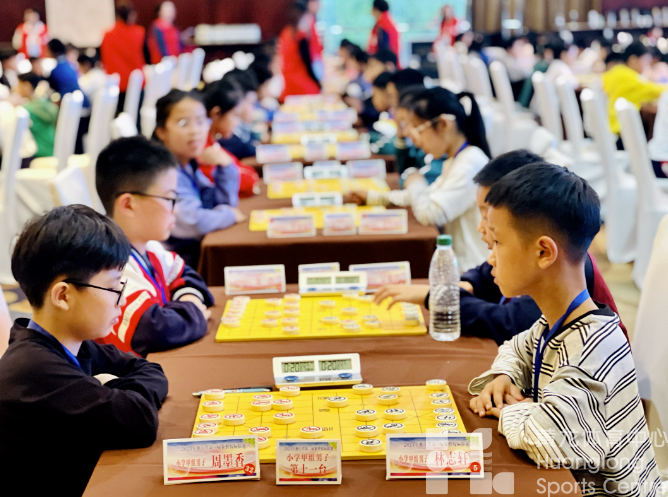 场面壮观,460名小棋手同场开战(图2) 场面壮观,460名小棋手同场开战(图2)