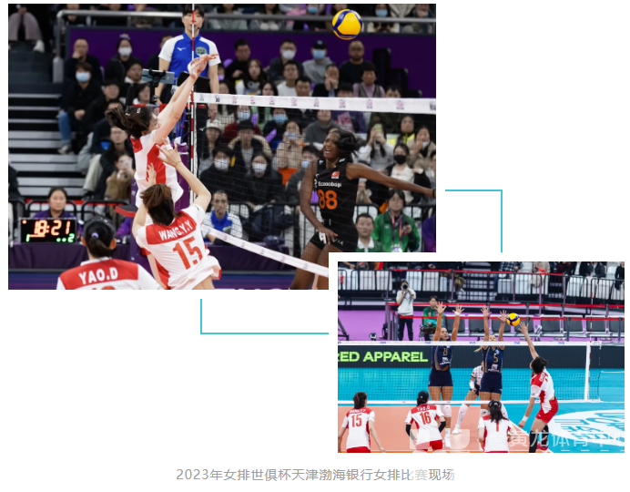 “俱”焦女排 | 看过这么多比赛，你知道拦网要跳多高吗？(图3)