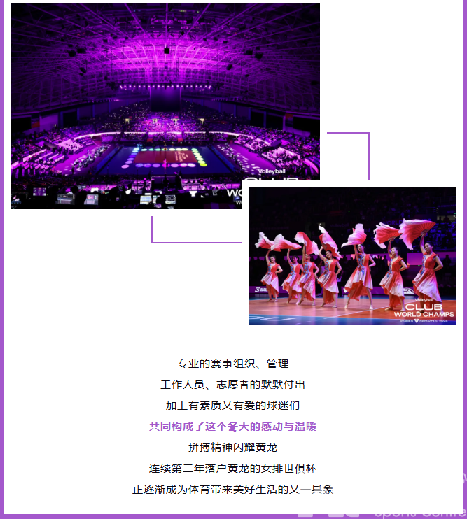 五彩斑斓的2024！进来看看你最中意什么颜色(图11)