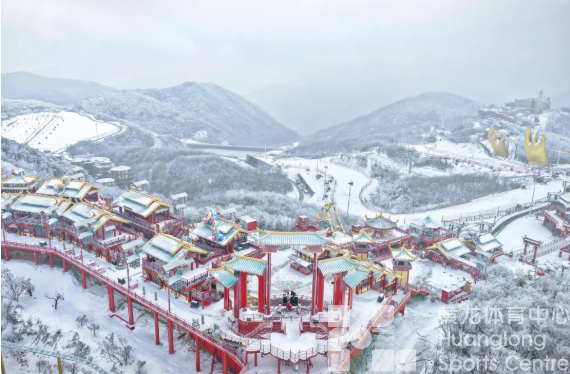 滑雪、浙BA、新年登高，浙江人的新年“打开方式”变了！(图1)