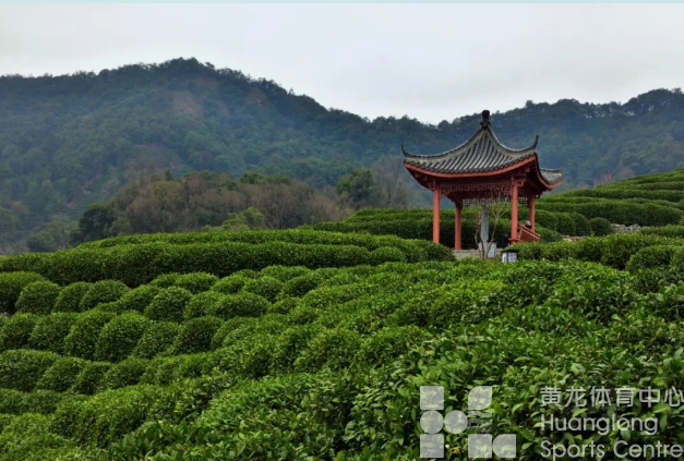 跑者漫游指南 | 南宋版vs新版,西湖十景也“更新”?(图9) 跑者漫游指南 | 南宋版vs新版,西湖十景也“更新”?(图9)