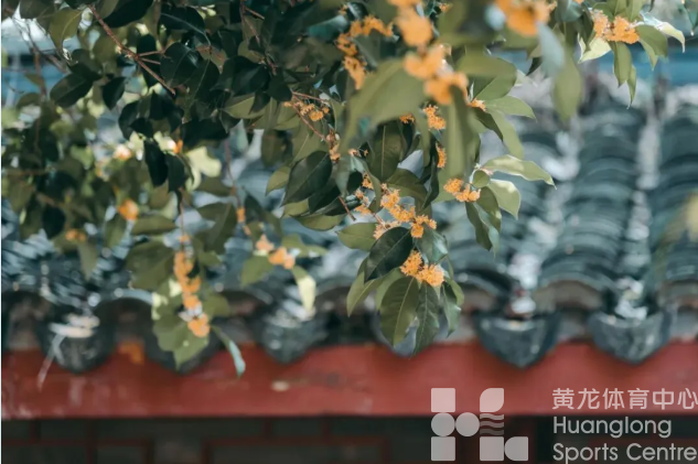 跑者漫游指南 | 南宋版vs新版,西湖十景也“更新”?(图7) 跑者漫游指南 | 南宋版vs新版,西湖十景也“更新”?(图7)